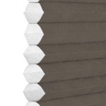 Bruin - Kolorado 0190