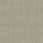 Taupe - Polaris 08 (NIEUW!)