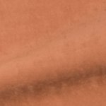 Roest - Pallas 01 (Suède)