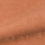 Roest - Pallas 01  (Suède)